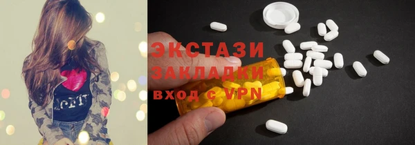 ECSTASY Богородицк